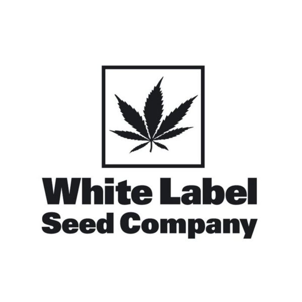 white_label_logo