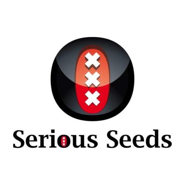 LOGO - Serious