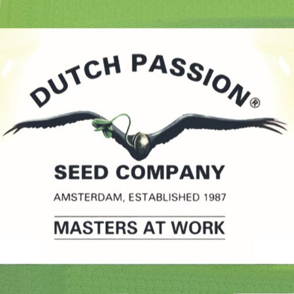 logo Dutch-Passion-Seed-Company