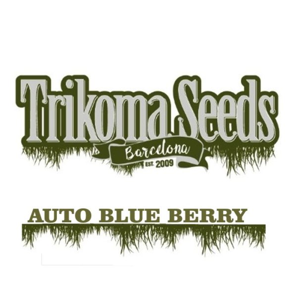 AUTO BLUE BERRY trikoma seeds