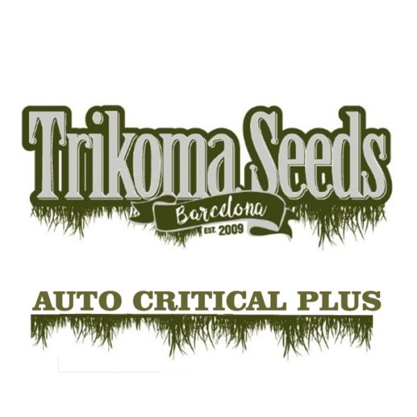 AUTO CRITICAL PLUS trikoma seeds