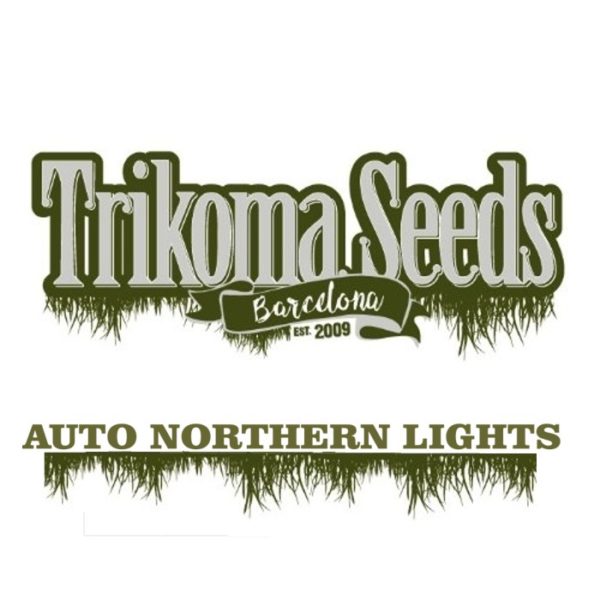 AUTO NORTHERN LIGHTS trikoma seeds