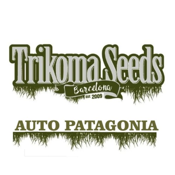 AUTO PATAGONIA trikoma seeds