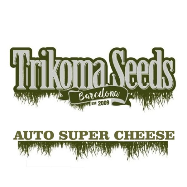 AUTO SUPER CHEESE trikoma seeds