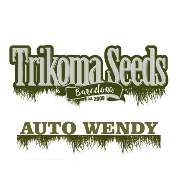 AUTO WENDY trikoma seeds