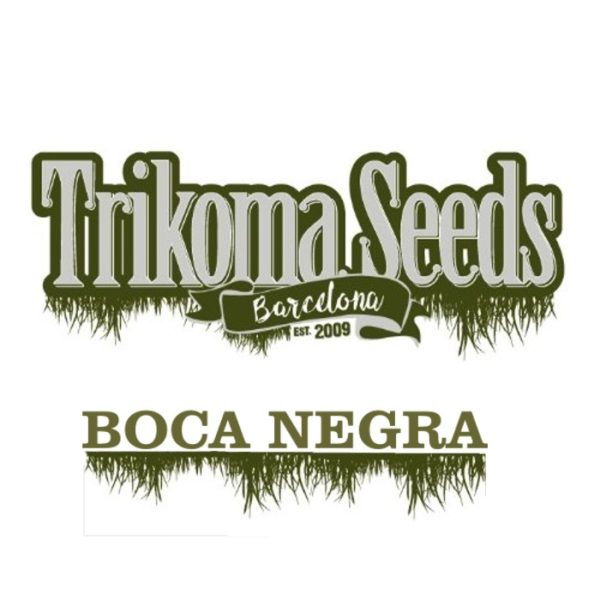 BOCA NEGRA - trikoma seeds