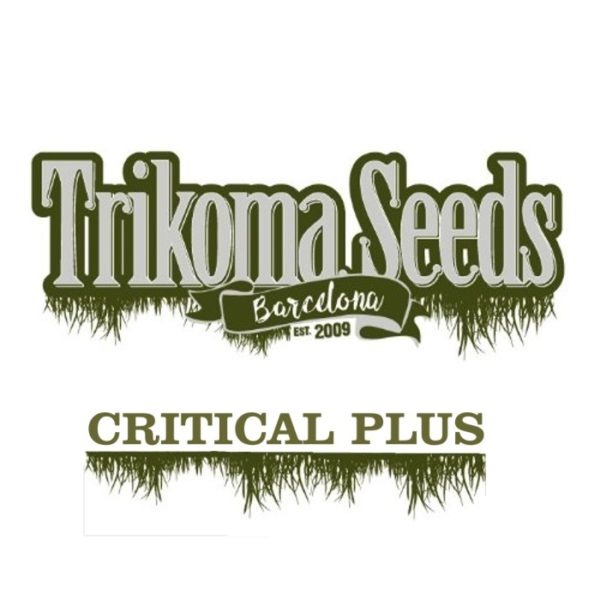 CRITICAL PLUS - trikoma seeds