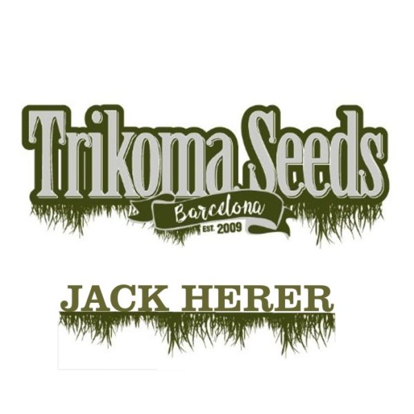 JACK HERER - trikoma seeds