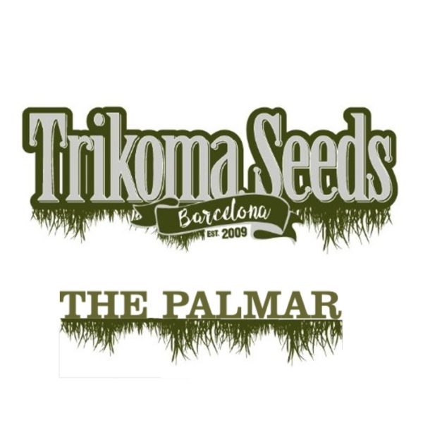 the palmar trikoma seeds