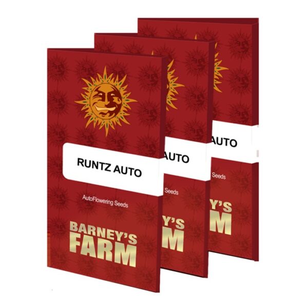 runtz-auto_seeds