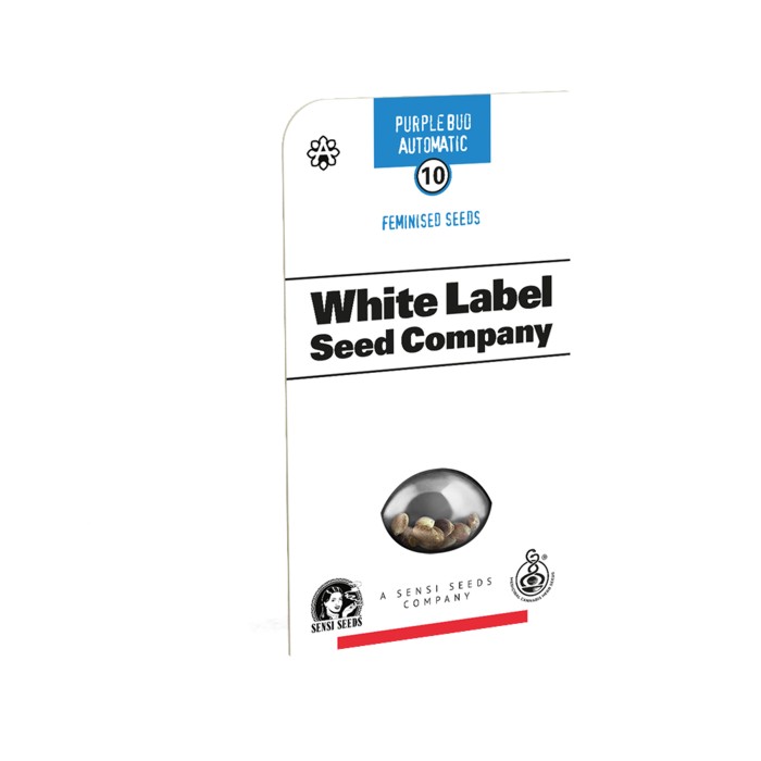 Purple Bud AUTO – White Label  Vendita Online Grow Seed Head Shop Happy  Life