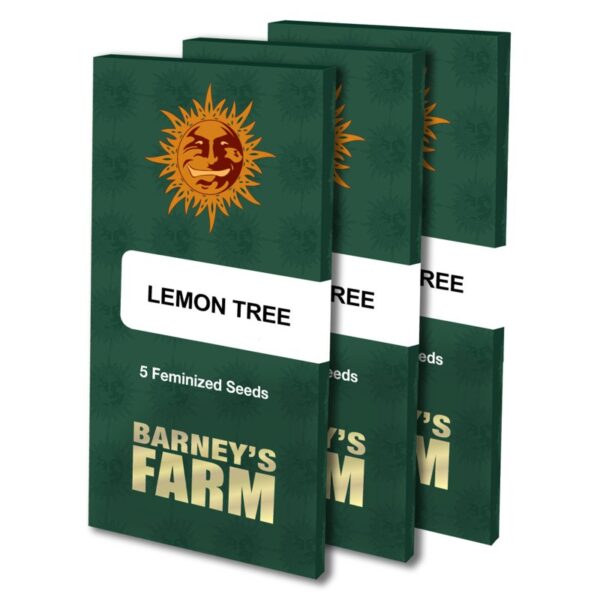 lemon-tree_seeds