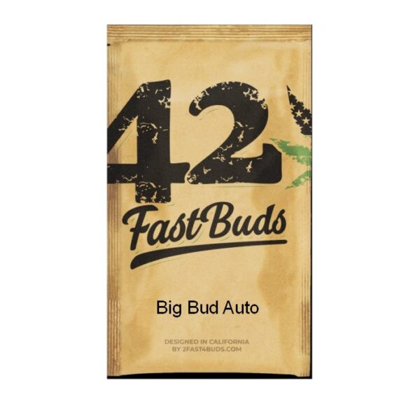 Big Bud Auto