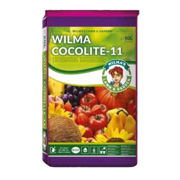 cocolite 11