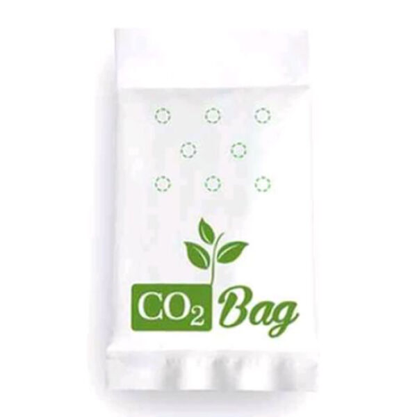 co2-bag