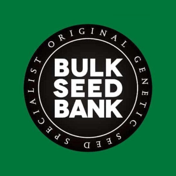 bulk-seed-bank-cannabis-seeds