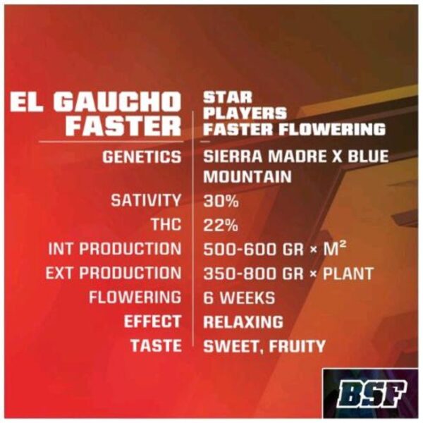 El Gaucho Faster