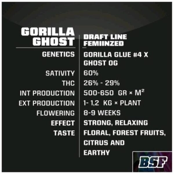 Gorilla Ghost