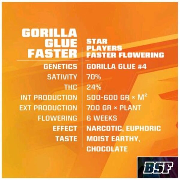 Gorilla Glue Faster