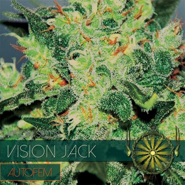 vision-seeds-auto-jack