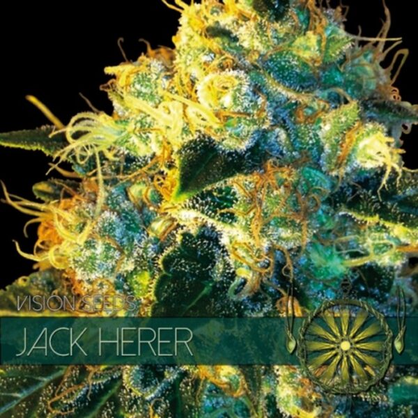 vision-seeds-jack-herer