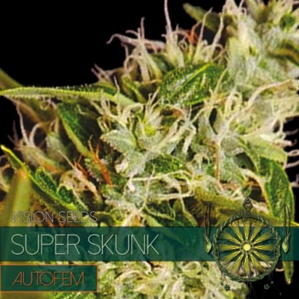 vision-seeds-super-skunk