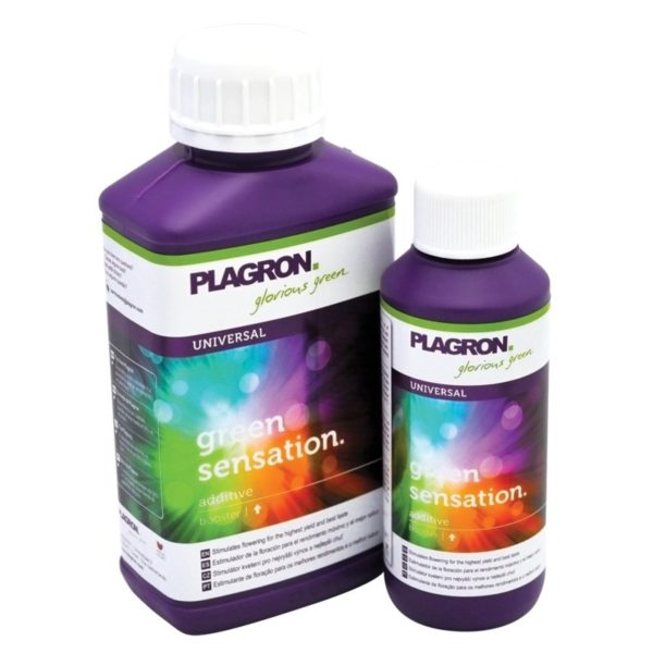 plagron-green-sensation