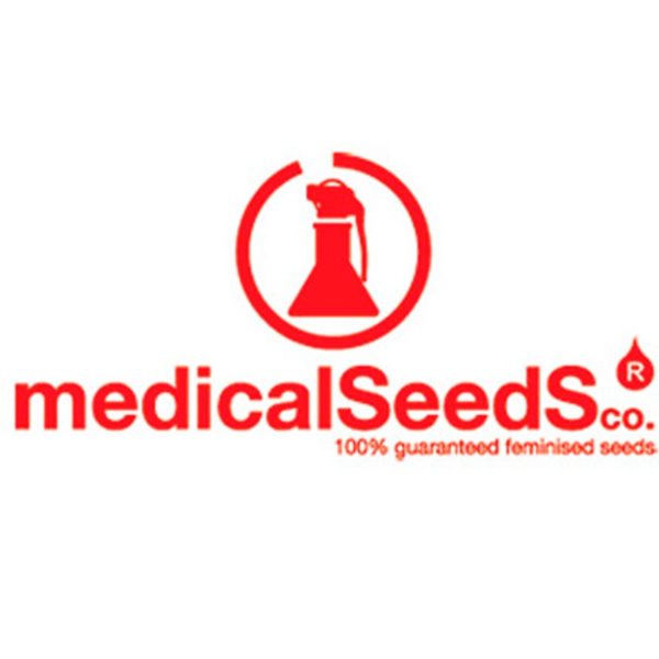 medical-seeds-Semillas-Feminizzata